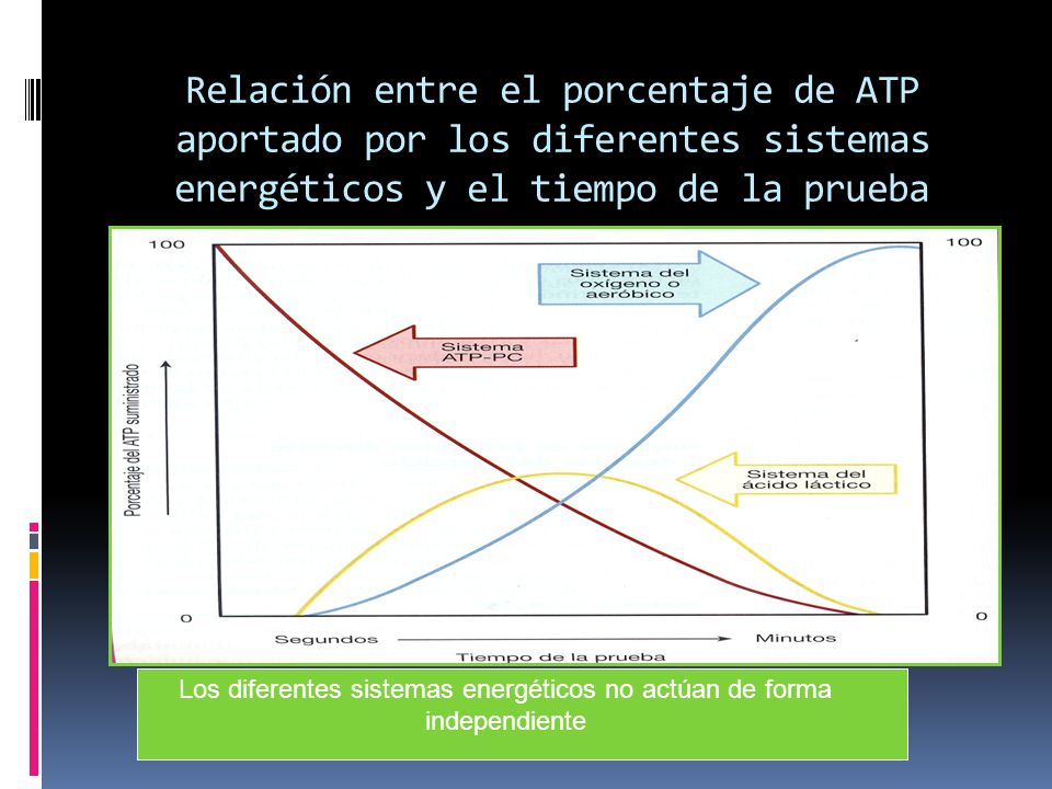 Los diferentes sistemas energéticos no actúan de forma independiente