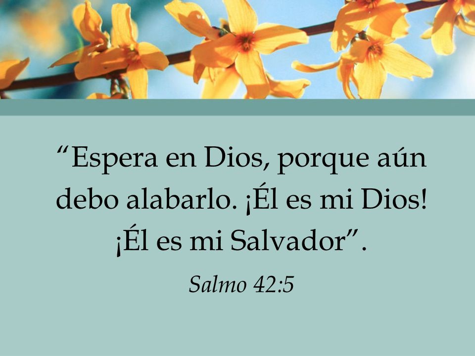 Espera en Dios, porque aún debo alabarlo. ¡Él es mi Dios