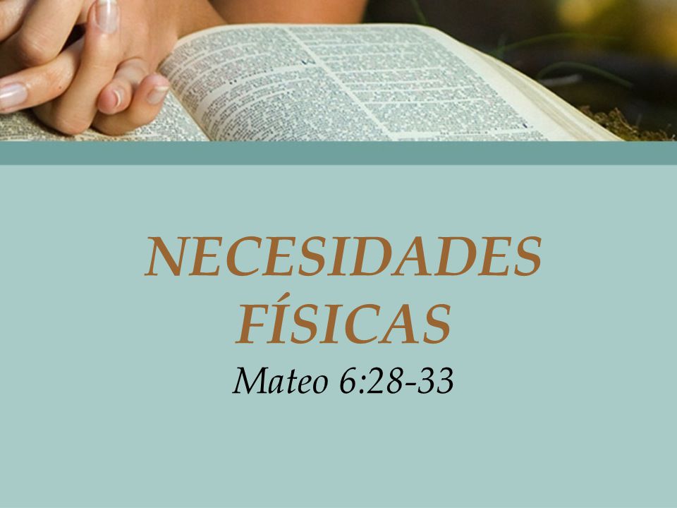 NECESIDADES FÍSICAS Mateo 6:28-33