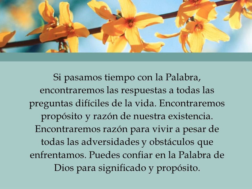 Si pasamos tiempo con la Palabra, encontraremos las respuestas a todas las preguntas difíciles de la vida. Encontraremos propósito y razón de nuestra existencia. Encontraremos razón para vivir a pesar de todas las adversidades y obstáculos que enfrentamos. Puedes confiar en la Palabra de Dios para significado y propósito.