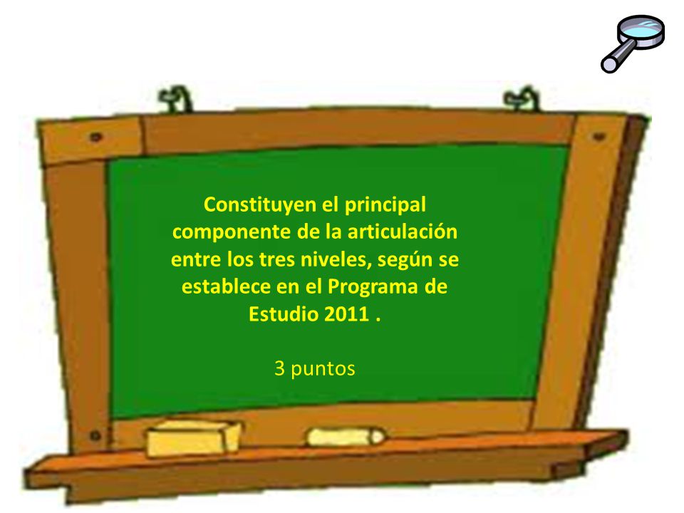 Constituyen el principal componente de la articulación entre los tres niveles, según se establece en el Programa de Estudio