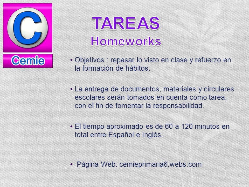 TAREAS Homeworks. Objetivos : repasar lo visto en clase y refuerzo en la formación de hábitos.