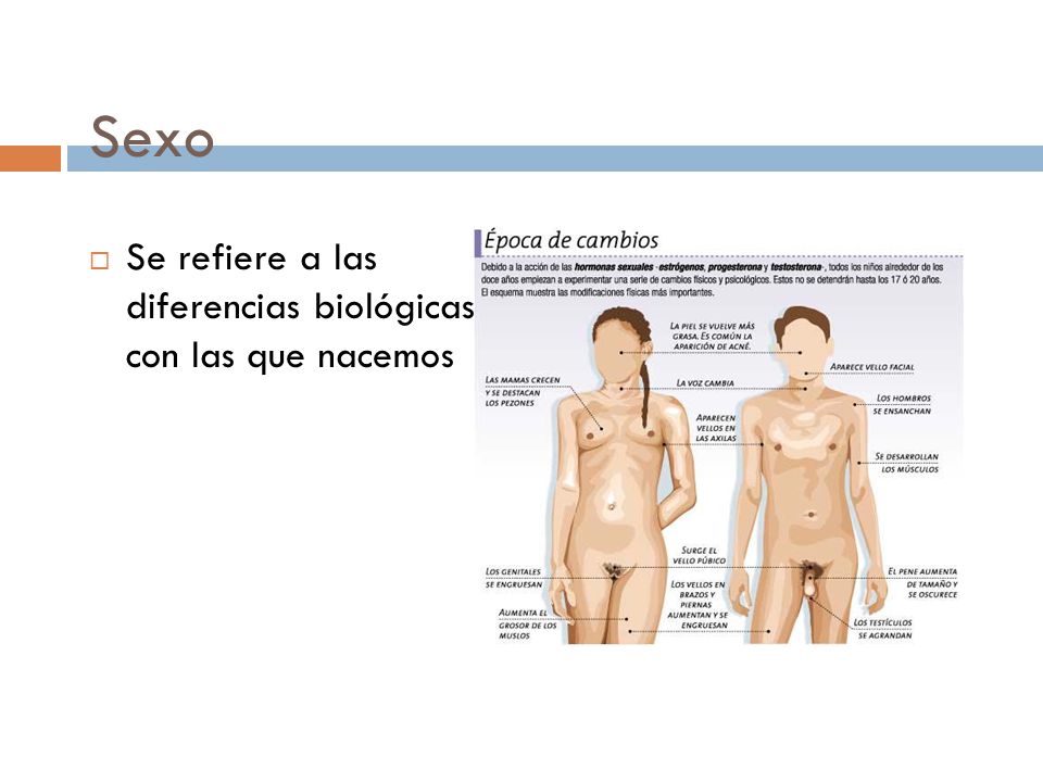 Sexo Se refiere a las diferencias biológicas con las que nacemos