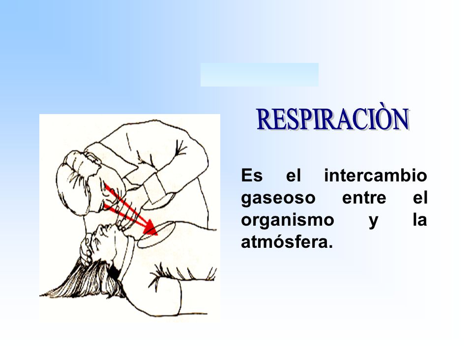 RESPIRACIÒN Es el intercambio gaseoso entre el organismo y la atmósfera.