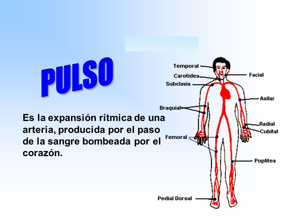 PULSO Es la expansión rítmica de una arteria, producida por el paso de la sangre bombeada por el corazón.