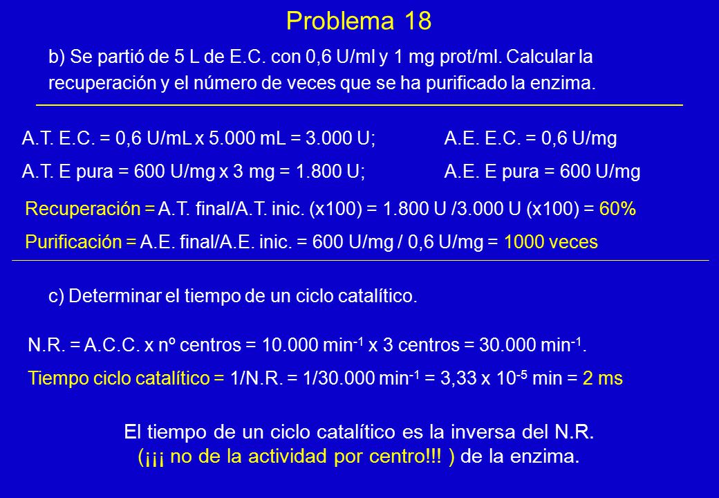 Problema 18 El tiempo de un ciclo catalítico es la inversa del N.R.
