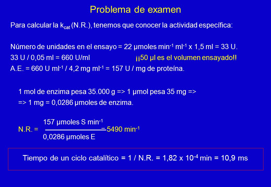 Tiempo de un ciclo catalítico = 1 / N.R. = 1,82 x 10-4 min = 10,9 ms