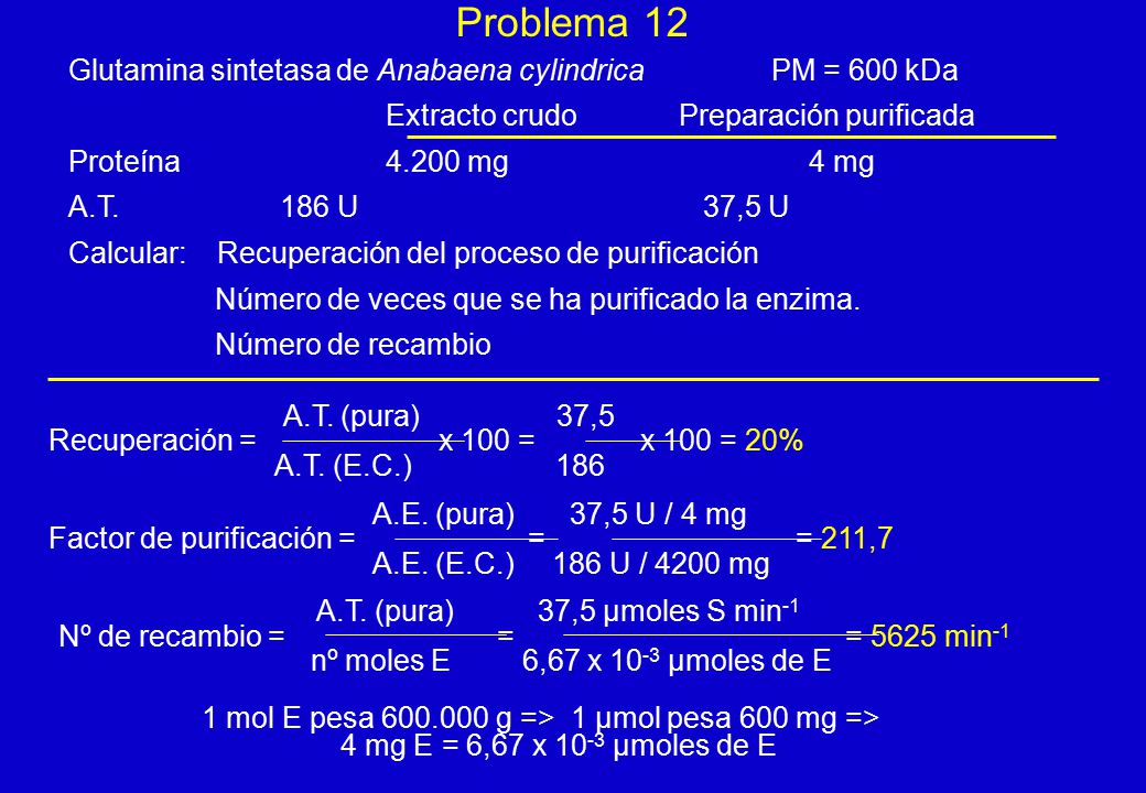 Problema 12 Glutamina sintetasa de Anabaena cylindrica PM = 600 kDa
