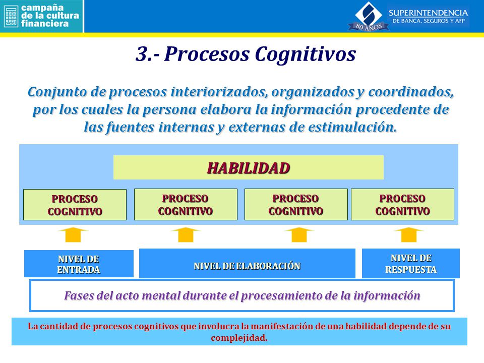 Fases del acto mental durante el procesamiento de la información