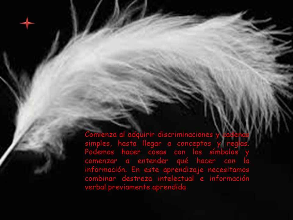 Comienza al adquirir discriminaciones y cadenas simples, hasta llegar a conceptos y reglas.