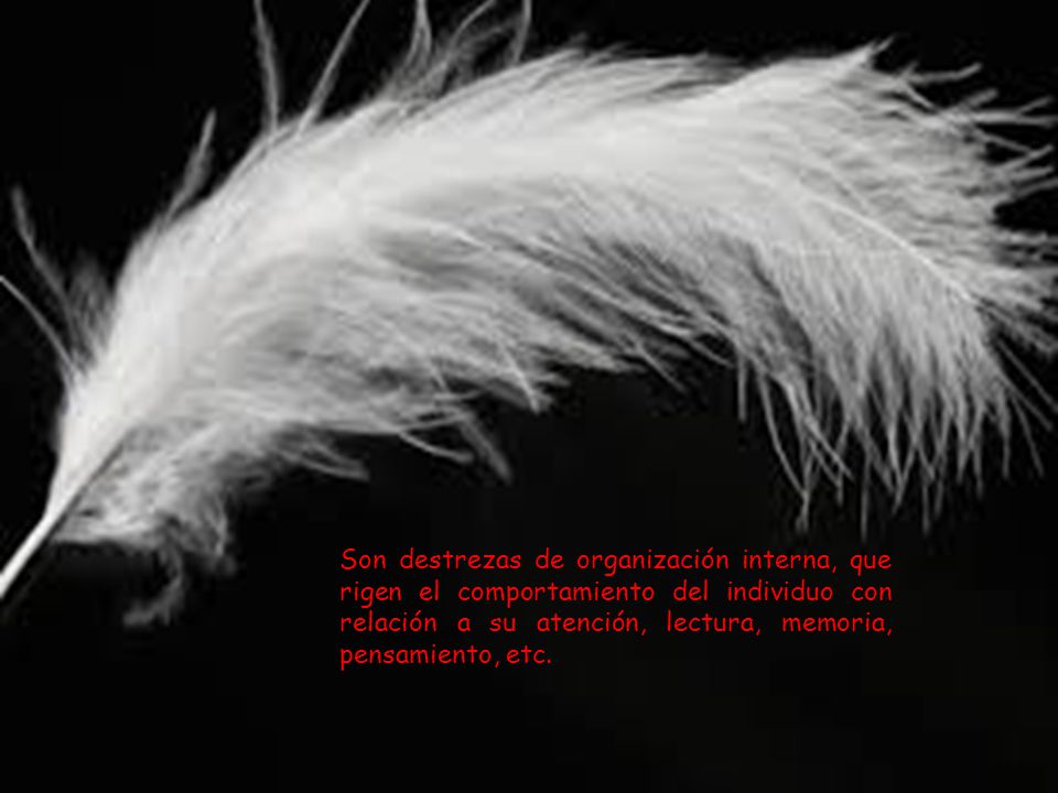 Son destrezas de organización interna, que rigen el comportamiento del individuo con relación a su atención, lectura, memoria, pensamiento, etc.