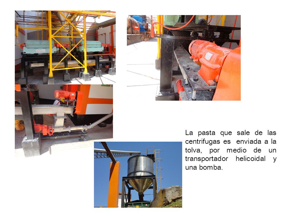 La pasta que sale de las centrifugas es enviada a la tolva, por medio de un transportador helicoidal y una bomba.