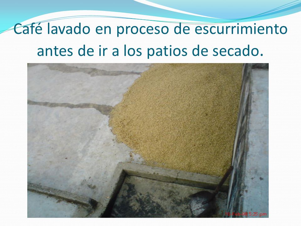 Café lavado en proceso de escurrimiento antes de ir a los patios de secado.
