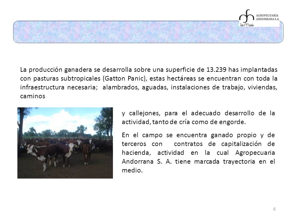 La producción ganadera se desarrolla sobre una superficie de 13