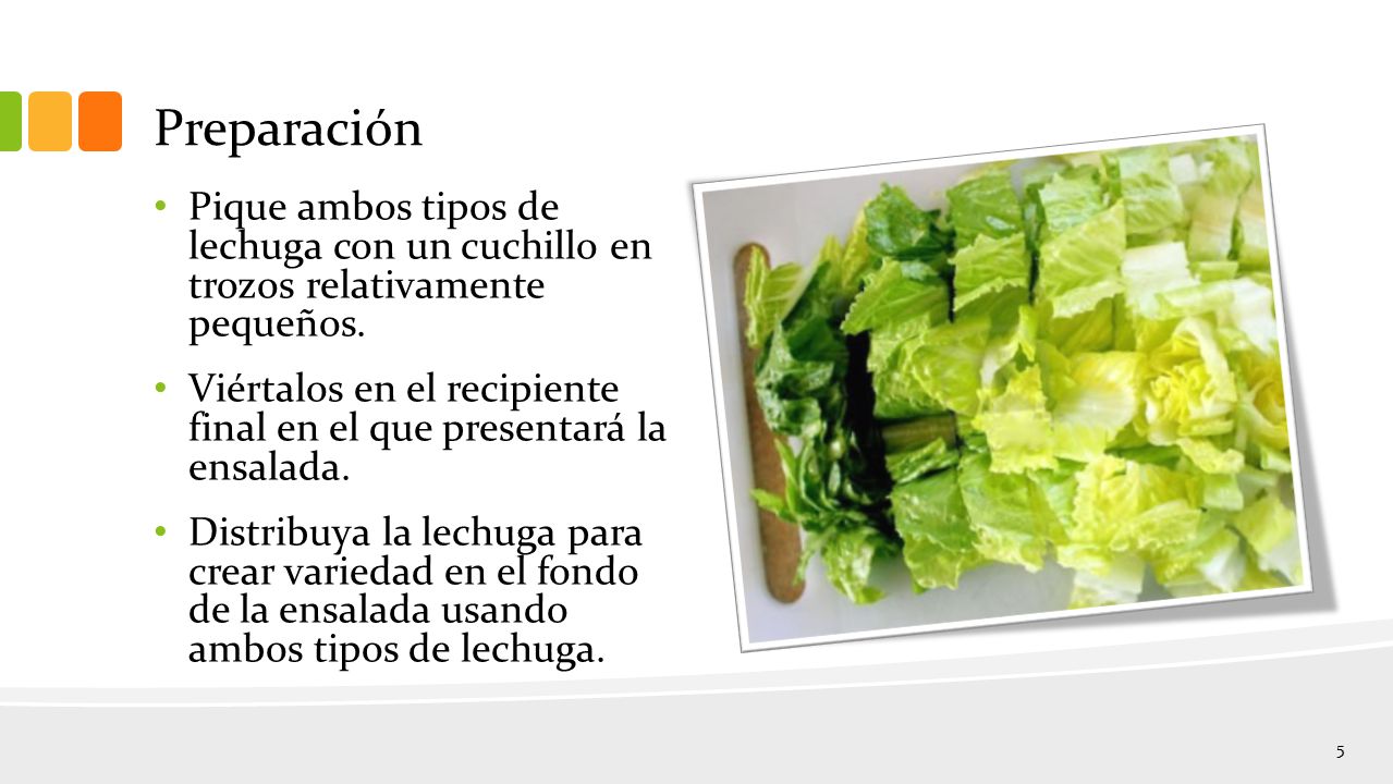 Preparación Pique ambos tipos de lechuga con un cuchillo en trozos relativamente pequeños.