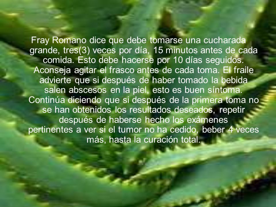 Fray Romano dice que debe tomarse una cucharada grande, tres(3) veces por día, 15 minutos antes de cada comida.