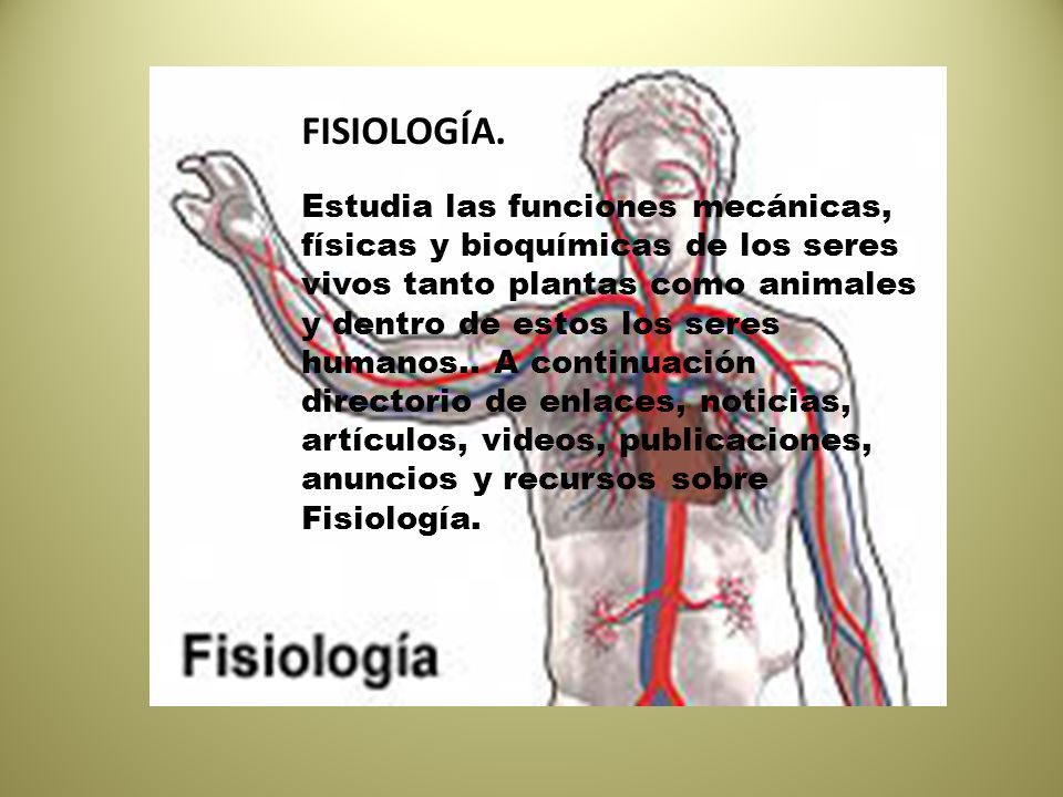 Fisiología.- Estudia las funciones mecánicas, físicas y bioquímicas de los seres vivos tanto plantas como animales y dentro de estos los seres humanos.. A continuación directorio de enlaces, noticias, artículos, videos, publicaciones, anuncios y recursos sobre Fisiología