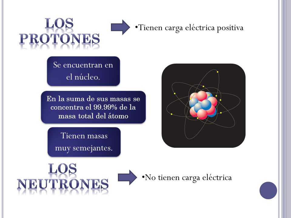LOS PROTONES LOS NEUTRONES