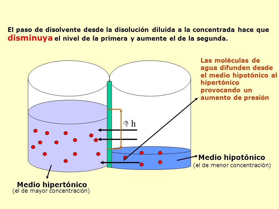  h disminuya el nivel de la primera y aumente el de la segunda.