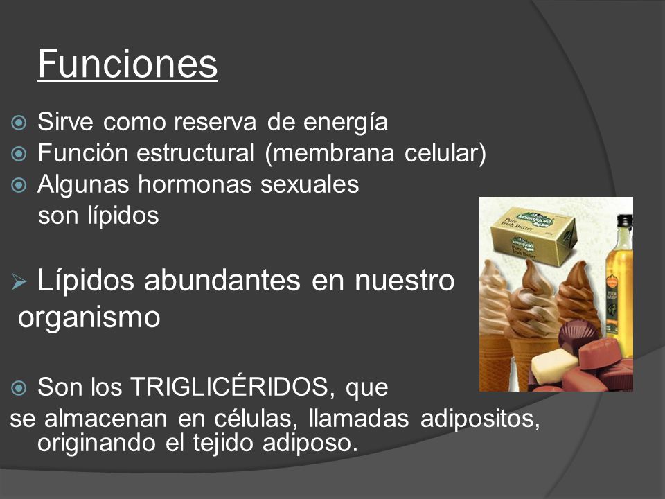 Funciones Lípidos abundantes en nuestro organismo