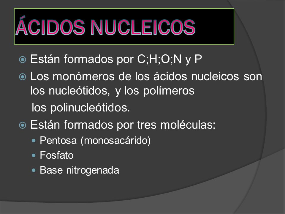 ÁCIDOS NUCLEICOS Están formados por C;H;O;N y P
