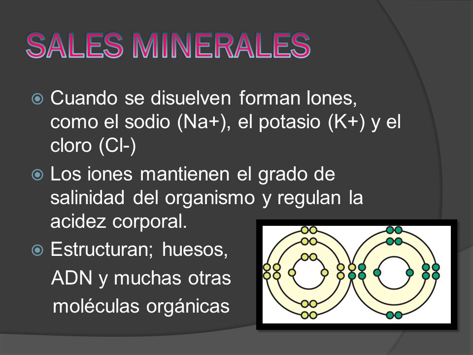 SALES MINERALES Cuando se disuelven forman Iones, como el sodio (Na+), el potasio (K+) y el cloro (Cl-)