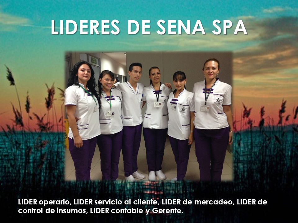 LIDERES DE SENA SPA LIDER operario, LIDER servicio al cliente, LIDER de mercadeo, LIDER de control de insumos, LIDER contable y Gerente.