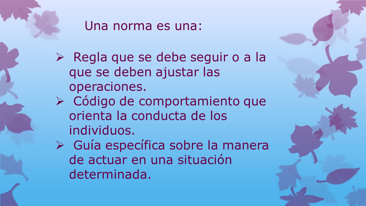 Una norma es una: Regla que se debe seguir o a la que se deben ajustar las operaciones.