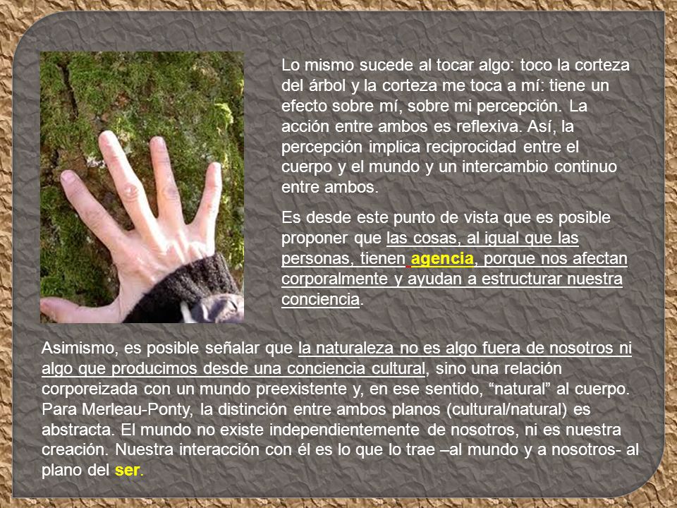 Lo mismo sucede al tocar algo: toco la corteza del árbol y la corteza me toca a mí: tiene un efecto sobre mí, sobre mi percepción. La acción entre ambos es reflexiva. Así, la percepción implica reciprocidad entre el cuerpo y el mundo y un intercambio continuo entre ambos.