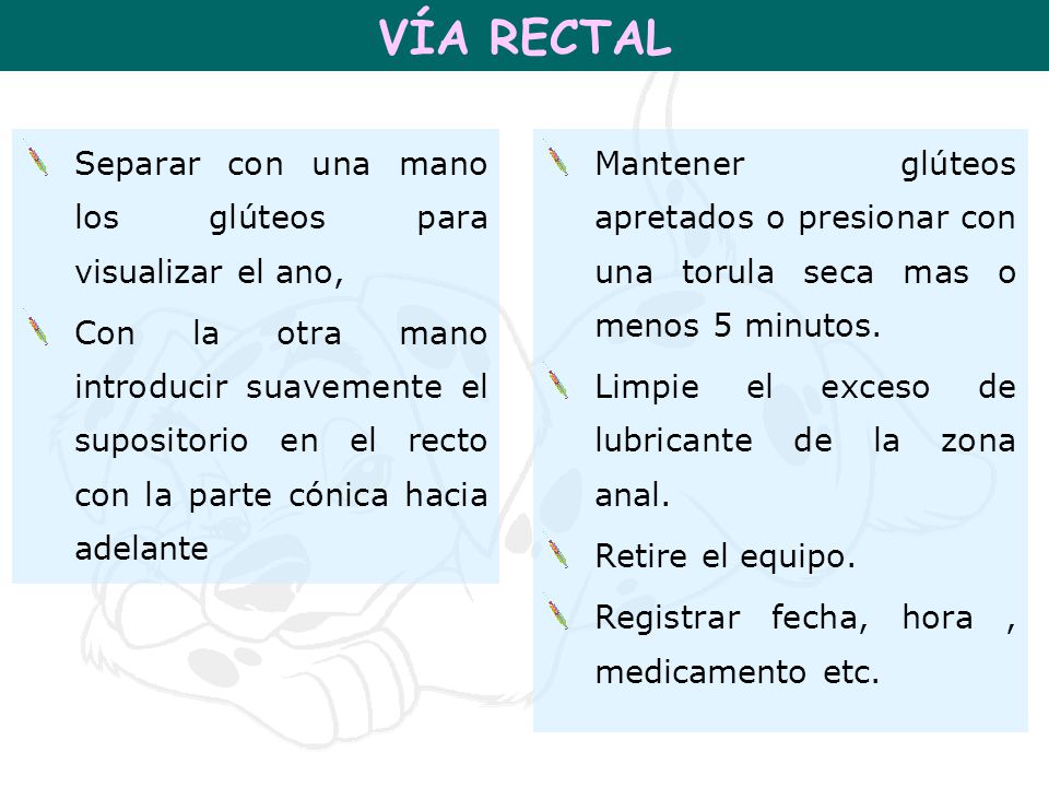 VÍA RECTAL Separar con una mano los glúteos para visualizar el ano,