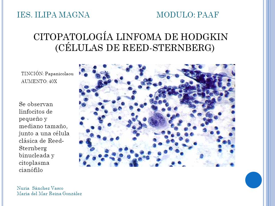 IES. ILIPA MAGNA MODULO: PAAF
