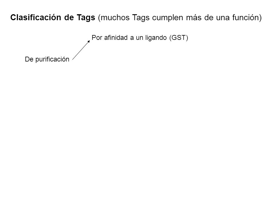 Clasificación de Tags (muchos Tags cumplen más de una función)