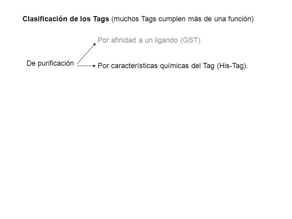 Clasificación de los Tags (muchos Tags cumplen más de una función)