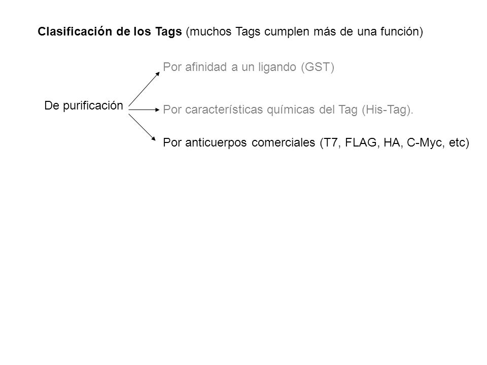 Clasificación de los Tags (muchos Tags cumplen más de una función)