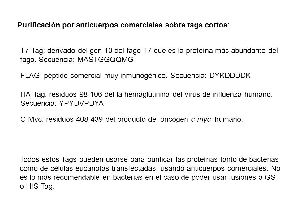 Purificación por anticuerpos comerciales sobre tags cortos: