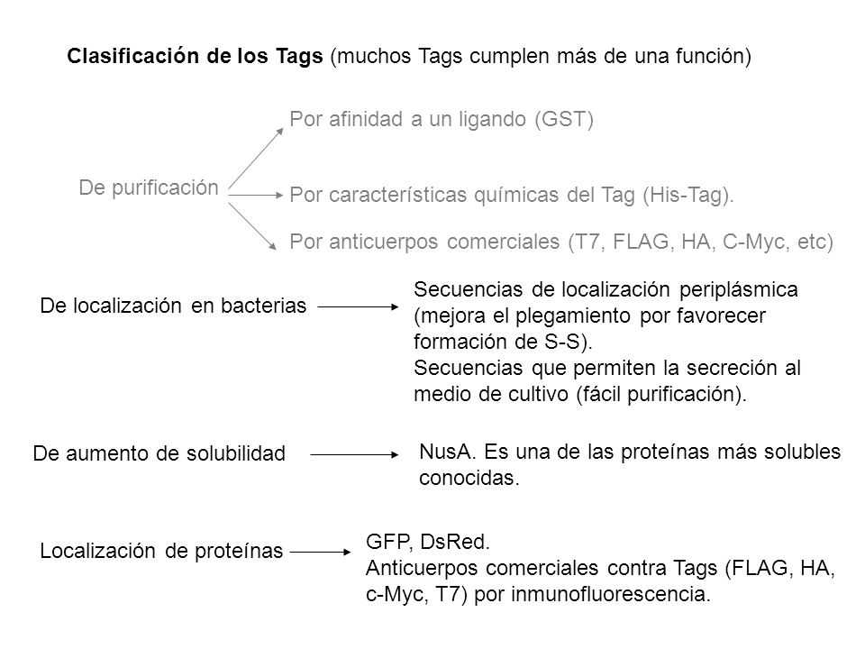 Clasificación de los Tags (muchos Tags cumplen más de una función)