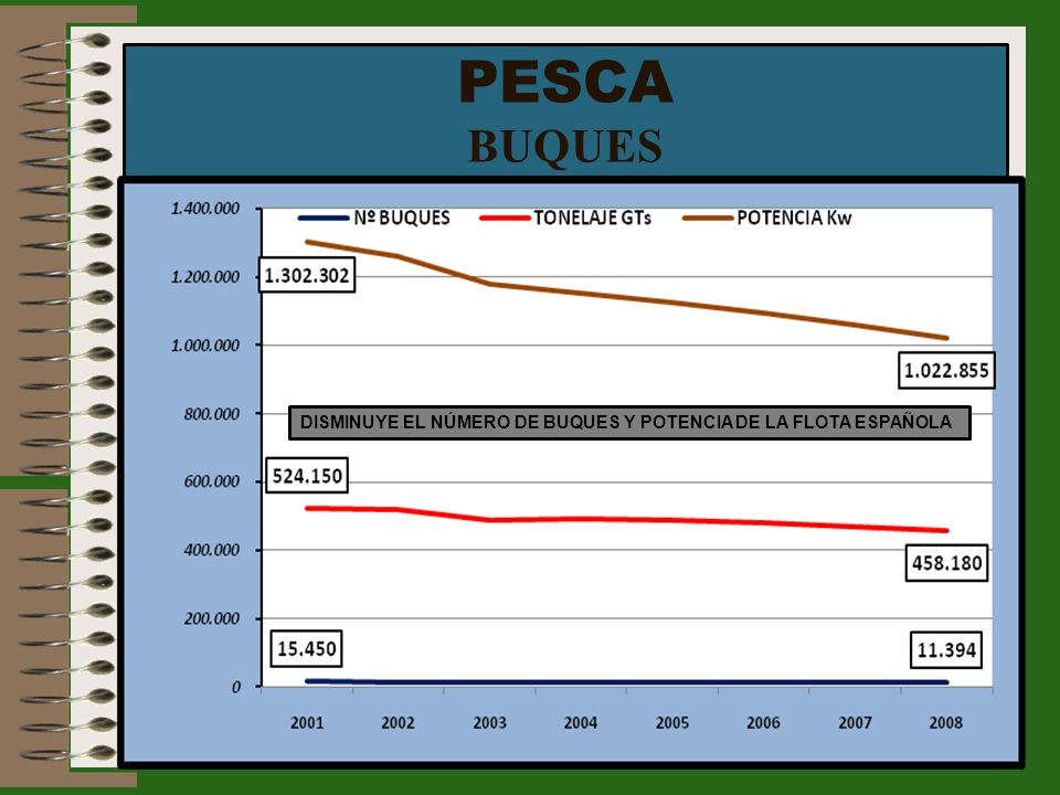 PESCA BUQUES DISMINUYE EL NÚMERO DE BUQUES Y POTENCIA DE LA FLOTA ESPAÑOLA