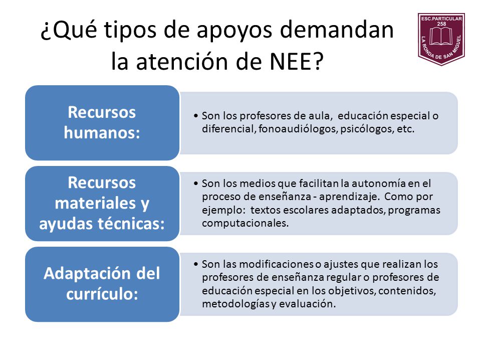 ¿Qué tipos de apoyos demandan la atención de NEE