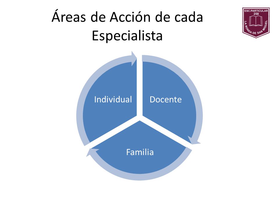 Áreas de Acción de cada Especialista