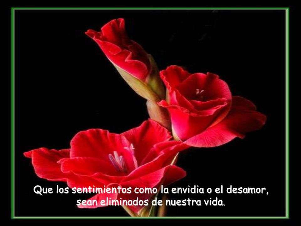 Que los sentimientos como la envidia o el desamor, sean eliminados de nuestra vida.