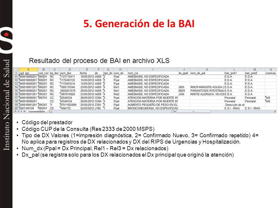 5. Generación de la BAI Resultado del proceso de BAI en archivo XLS