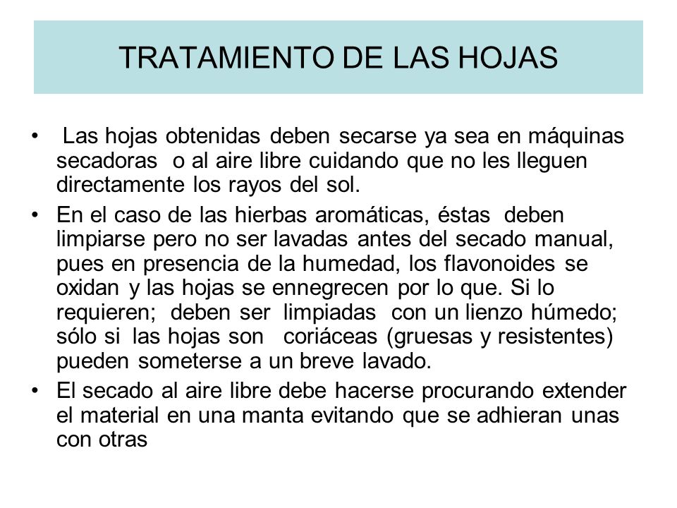 TRATAMIENTO DE LAS HOJAS