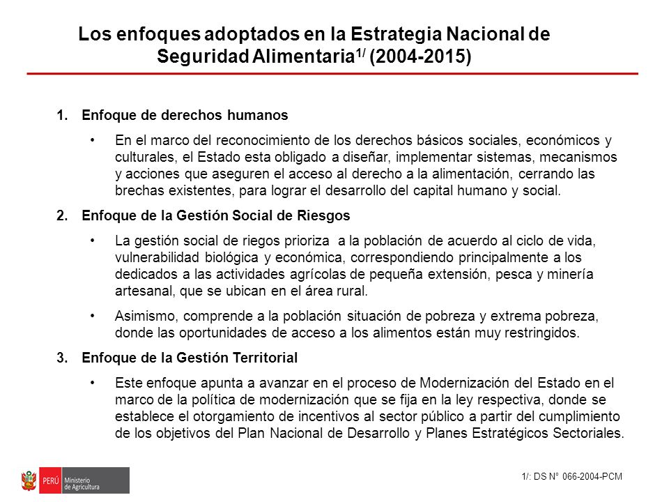 Los enfoques adoptados en la Estrategia Nacional de Seguridad Alimentaria1/ ( )