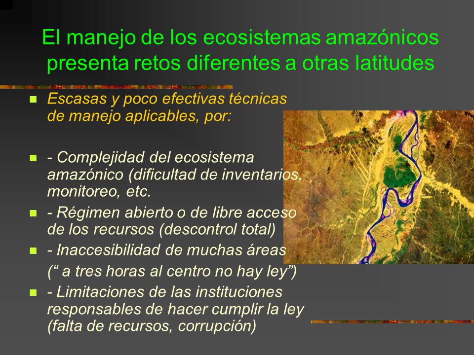 El manejo de los ecosistemas amazónicos presenta retos diferentes a otras latitudes