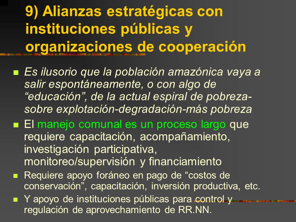9) Alianzas estratégicas con instituciones públicas y organizaciones de cooperación