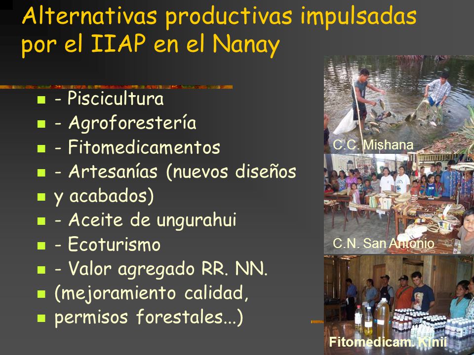 Alternativas productivas impulsadas por el IIAP en el Nanay