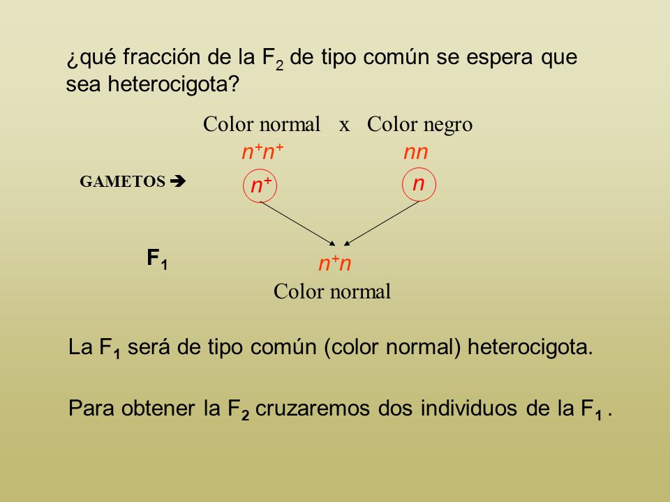 Color normal x Color negro