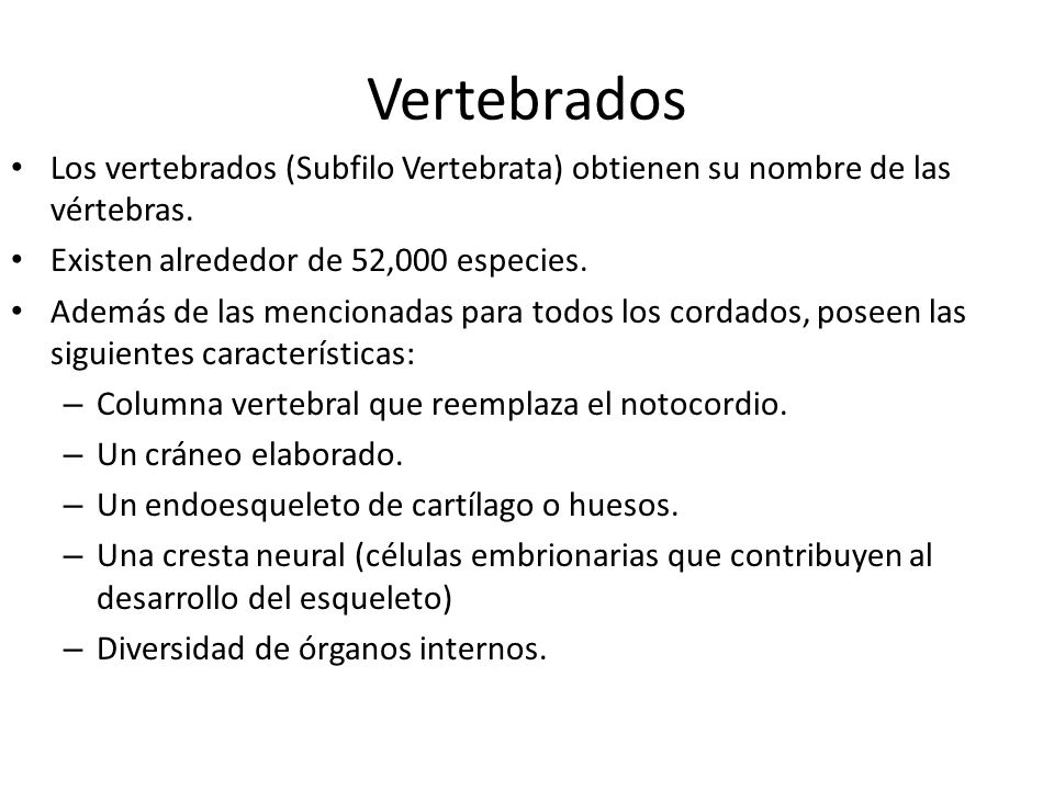 Vertebrados Los vertebrados (Subfilo Vertebrata) obtienen su nombre de las vértebras. Existen alrededor de 52,000 especies.