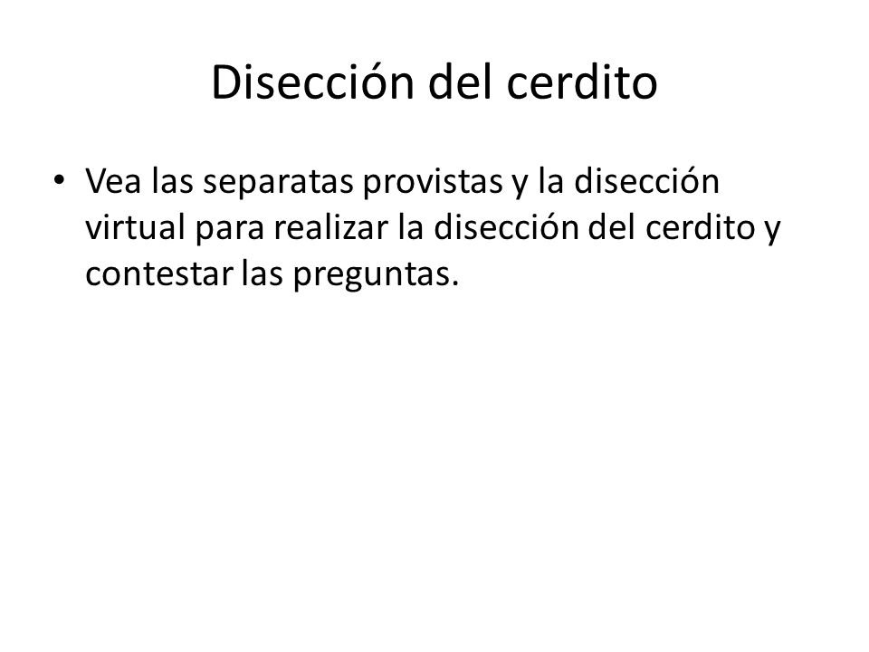 Disección del cerdito Vea las separatas provistas y la disección virtual para realizar la disección del cerdito y contestar las preguntas.