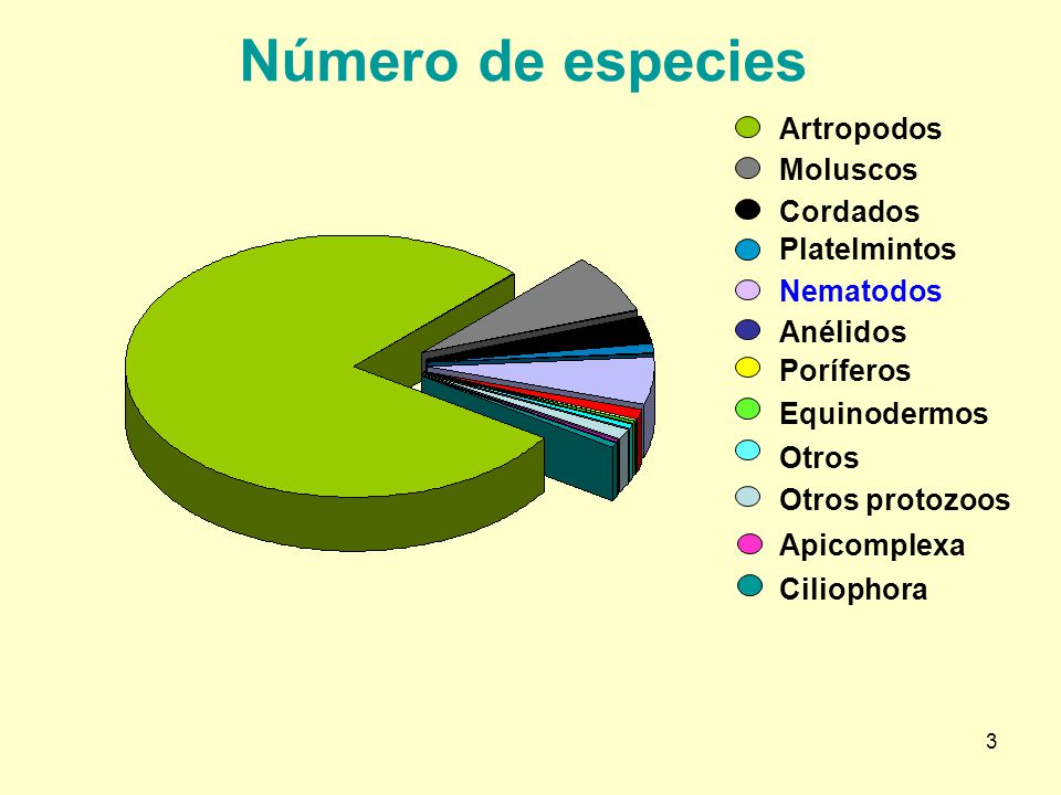Número de especies Artropodos Moluscos Cordados Platelmintos Nematodos